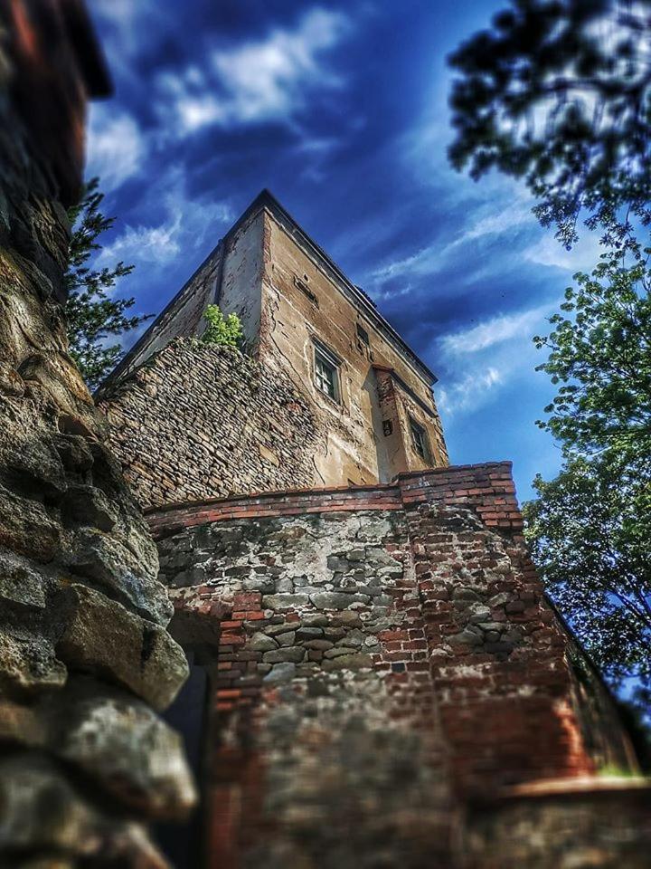 Zamek Otmuchów Exteriér fotografie