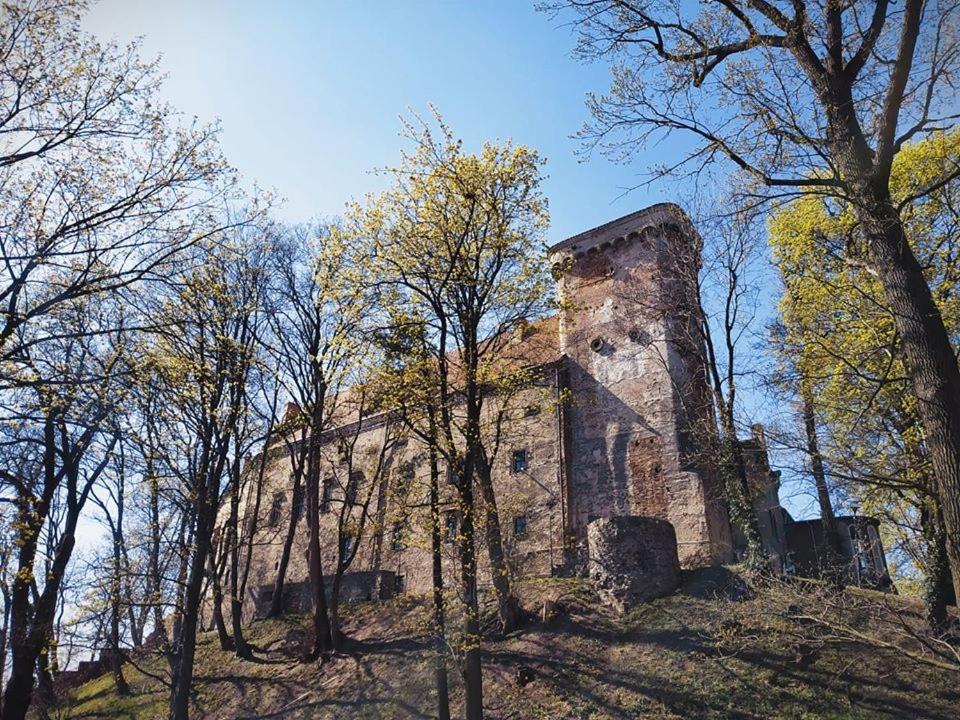 Zamek Otmuchów Exteriér fotografie